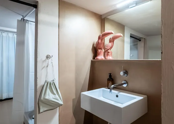 Giano Host - San Bernardo